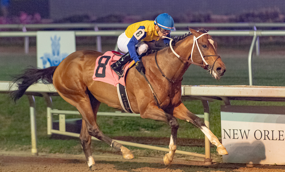 Meet the Contenders Risen Star Stakes at Fair Grounds Saturday